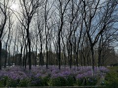 -白塘生态植物园