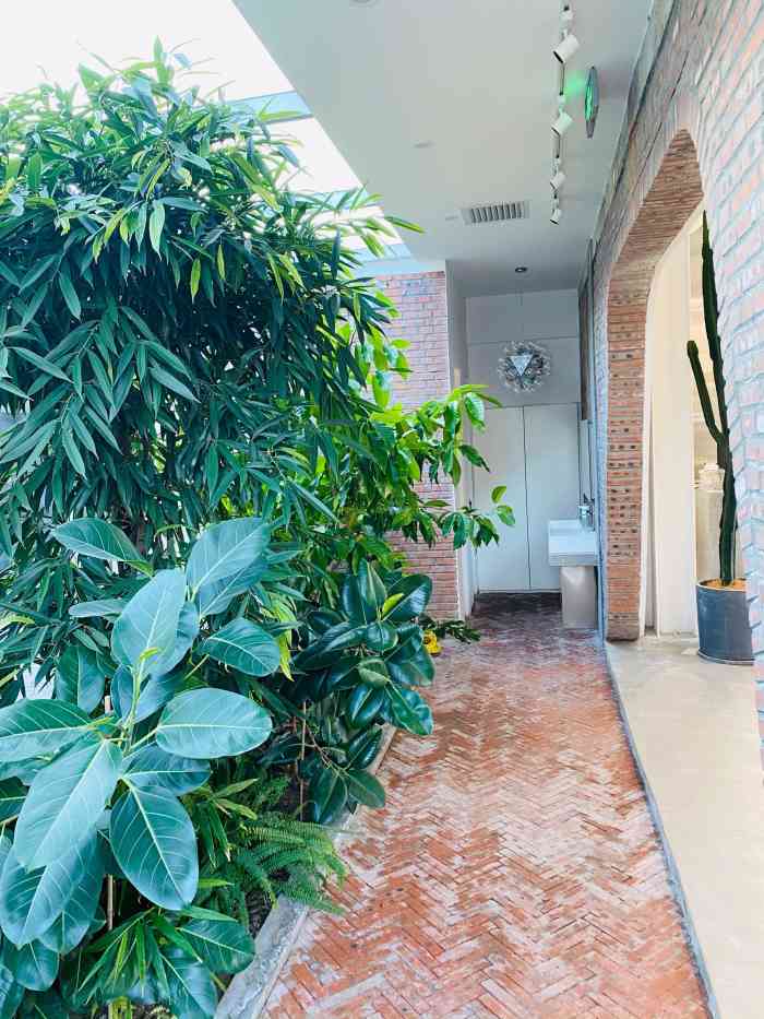 cyber plants-"站在菜园里干杯吧~ 谢谢业余植物学家@.