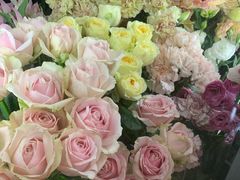-Flower in(密渡桥店)