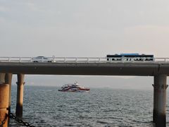 -演武大桥观景平台