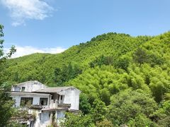 -自游人·美食一楼·地道徽菜(三十年名店)