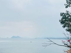 -宝荣鱼馆·临湖之宴(千岛湖店)