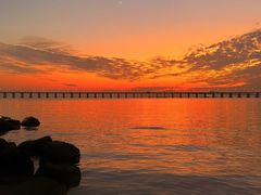 -宝安西湾红树林湿地公园