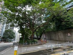 -香港大学