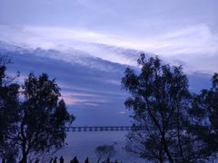 -宝安西湾红树林湿地公园