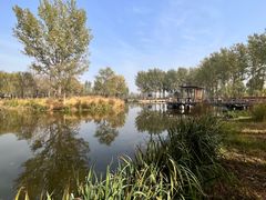 -东郊湿地公园
