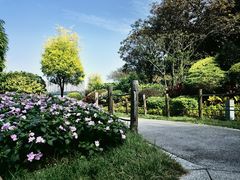 -顺峰山公园