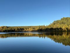-五营红松林海景区