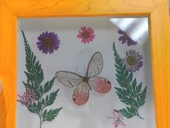 -上海大自然野生昆虫馆(东方明珠·爬宠昆虫探索中心)