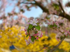 -元大都城垣遗址公园