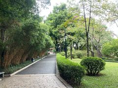 -晓港公园