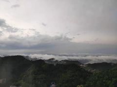 -大金鹰园