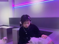 -极木²邸 人与宠物·互动社区