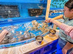 -乔哥铭洋海鲜自助(皇城恒隆广场店)