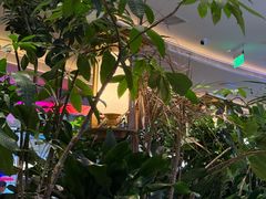 -桂满陇·蟹黄小笼汤包(清河万象店)