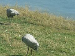 -武清南湖绿博园