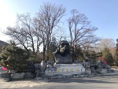 -周口店北京人遗址公园