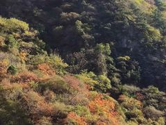 -秦岭风景区