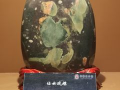 -中华赏石园
