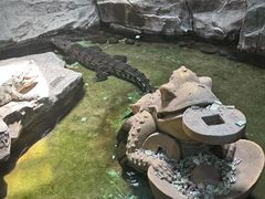 -泉城欧乐堡海洋极地世界