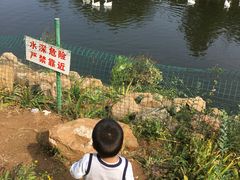 -北京张裕爱斐堡酒庄