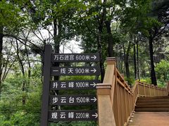 -鲁山国家森林公园