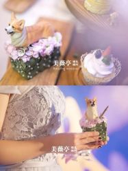 -美薇亭婚礼顾问