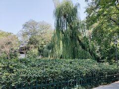 -莲湖公园