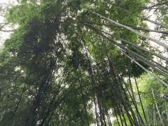 -成都杜甫草堂博物馆