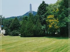 -北坞公园