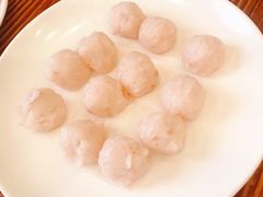 鱼肉丸-正能量脆肉鲩火锅