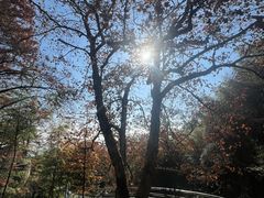-莫干山风景区