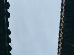 -月栖华明-云间草堂清茶馆(泗泾古镇店)