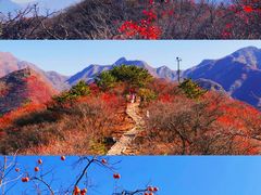 -沉浸北京·团建旅行·密室剧本杀·年会会议轰趴拓展
