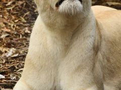 -卡塞拉自然公园