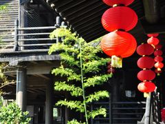-大唐贡茶院