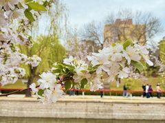 -元大都城垣遗址公园