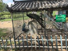 -南通洲际绿博园