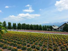 -富田农场