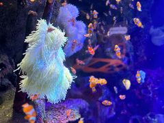 -沈阳海洋探索中心