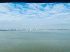 -大湾区中央湿地公园