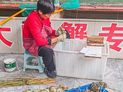 -乡乐园蟹庄·阳澄湖农家乐