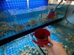 -佰园全日西餐厅-厦门佰翔软件园酒店