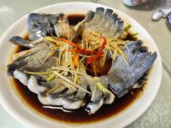 清蒸稀鳞鲑-煲来饱去冷水鱼