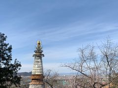-颐和园