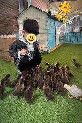 -萌宠亲子动物乐园(槐房万达店)