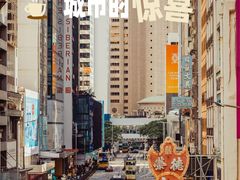 -Big Bus Tours 敞篷观光巴士