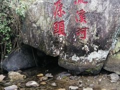 -广州市流溪河国家森林公园