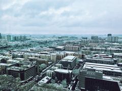 -南京维景国际大酒店(南京博物院店)