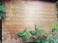 -西双版纳傣族园